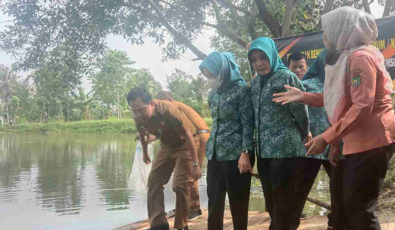 Tebar Benih Ikan Nilam di Kolam Retensi Karang Raja, Begini Pesan Walikota