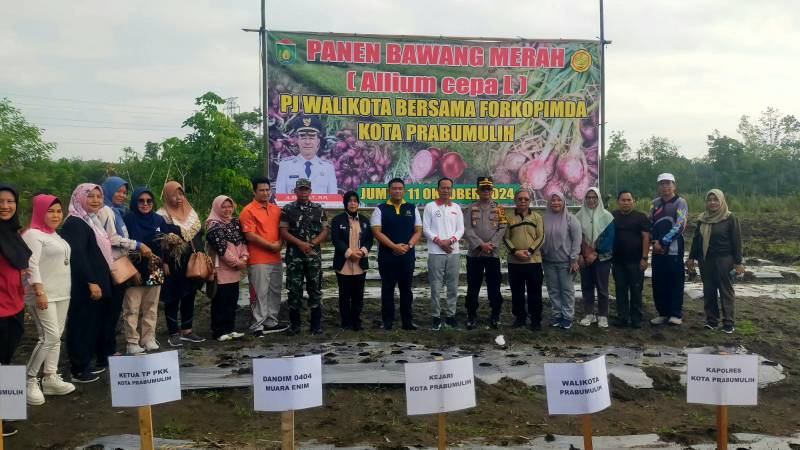 Bersama Segenap Forkopimda, Pj Walikota Lakukan Panen Bawang di Lahan Demplot Pemkot Prabumulih